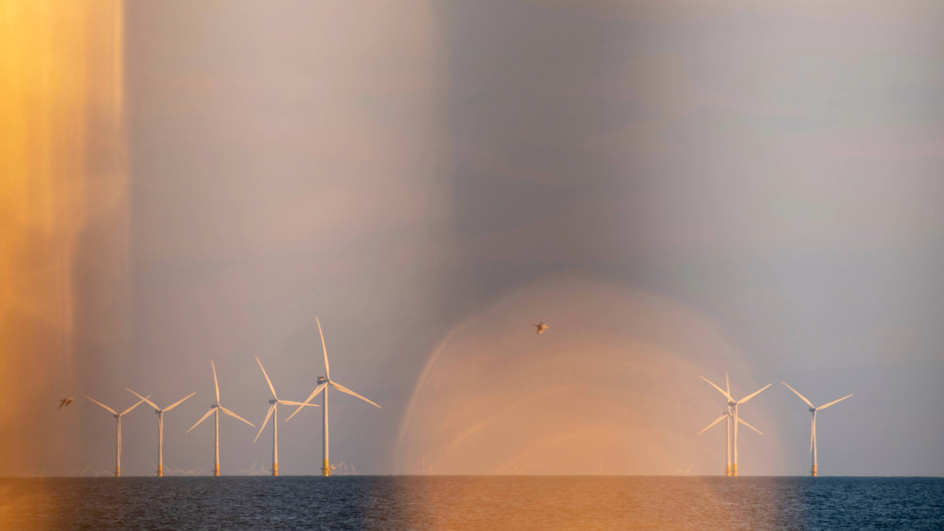 Wind turbines at sea